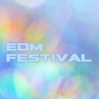 EDM Festival