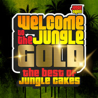 Welcome To The Jungle - Gold (The Best Of Jungle Cakes)