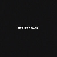 Moth To A Flame