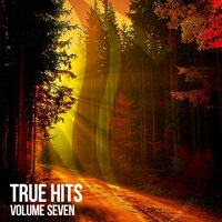 True Hits, Vol. 7