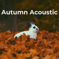 Autumn Acoustic